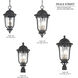 Peale Street 4 Light 12 inch Sand Coal And Vermeil Gold Outdoor Hanging Light, Great Outdoors